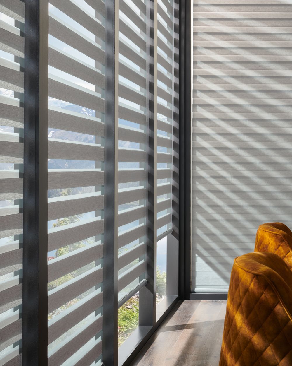 Alta Banded Shades by Alta Window Fashions