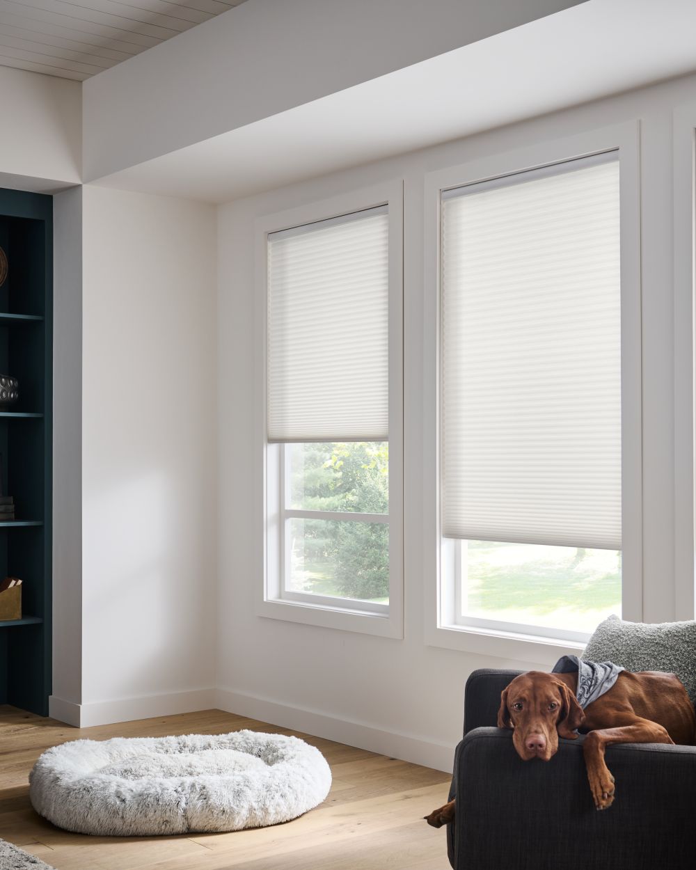 Alta Motorized Blinds & Shades by Alta Window Fashions