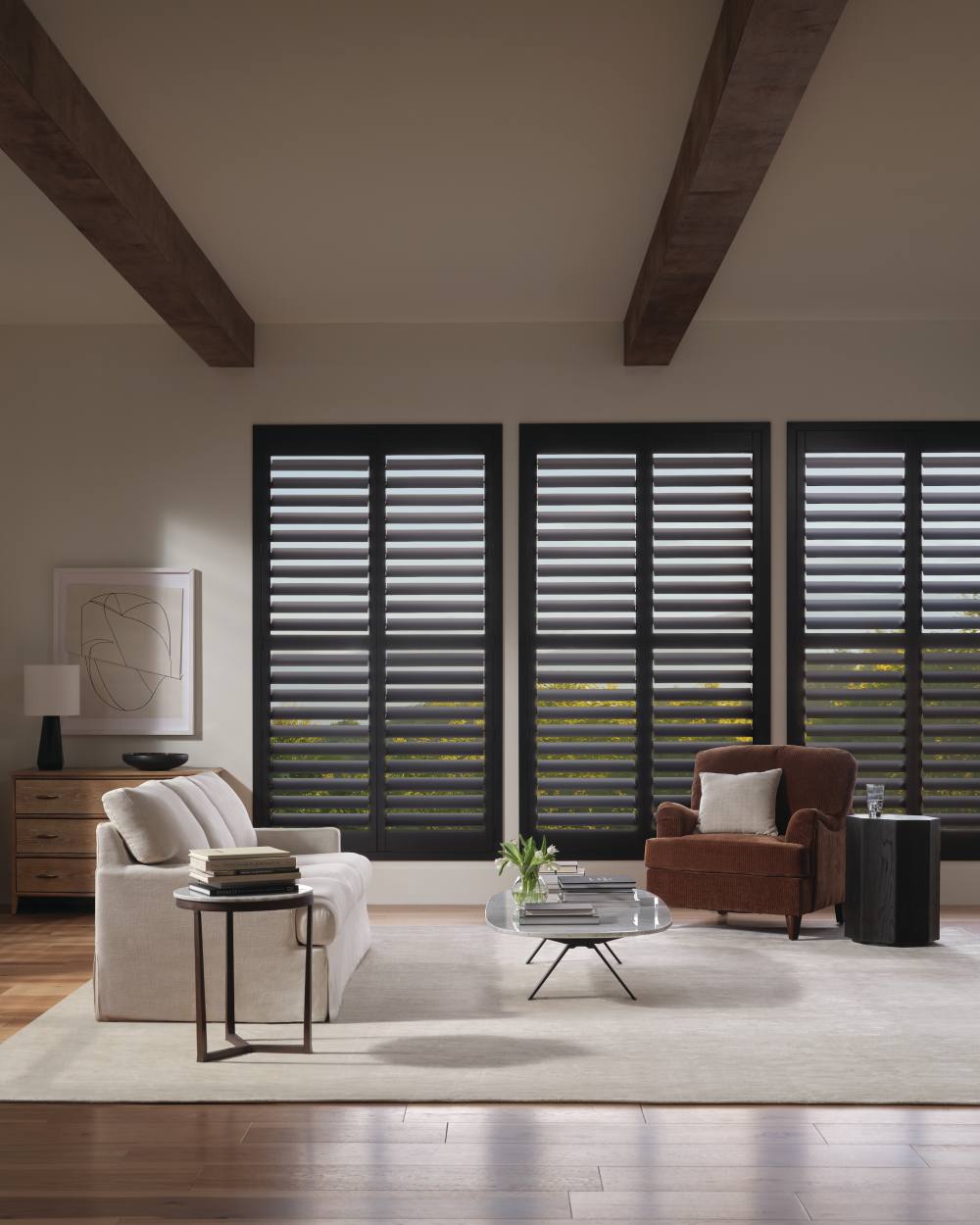 NewStyle Hybrid Shutters by Hunter Douglas