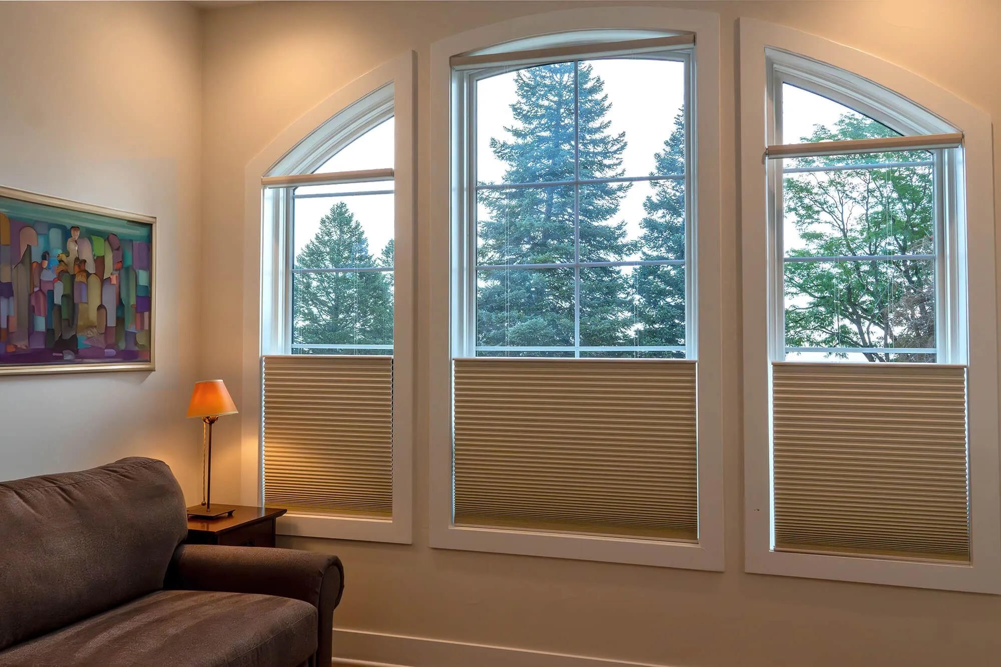 Top-down, bottom-up honeycomb shades on three windows, lowered from the top so daylight and trees show above while the lower half stays covered
