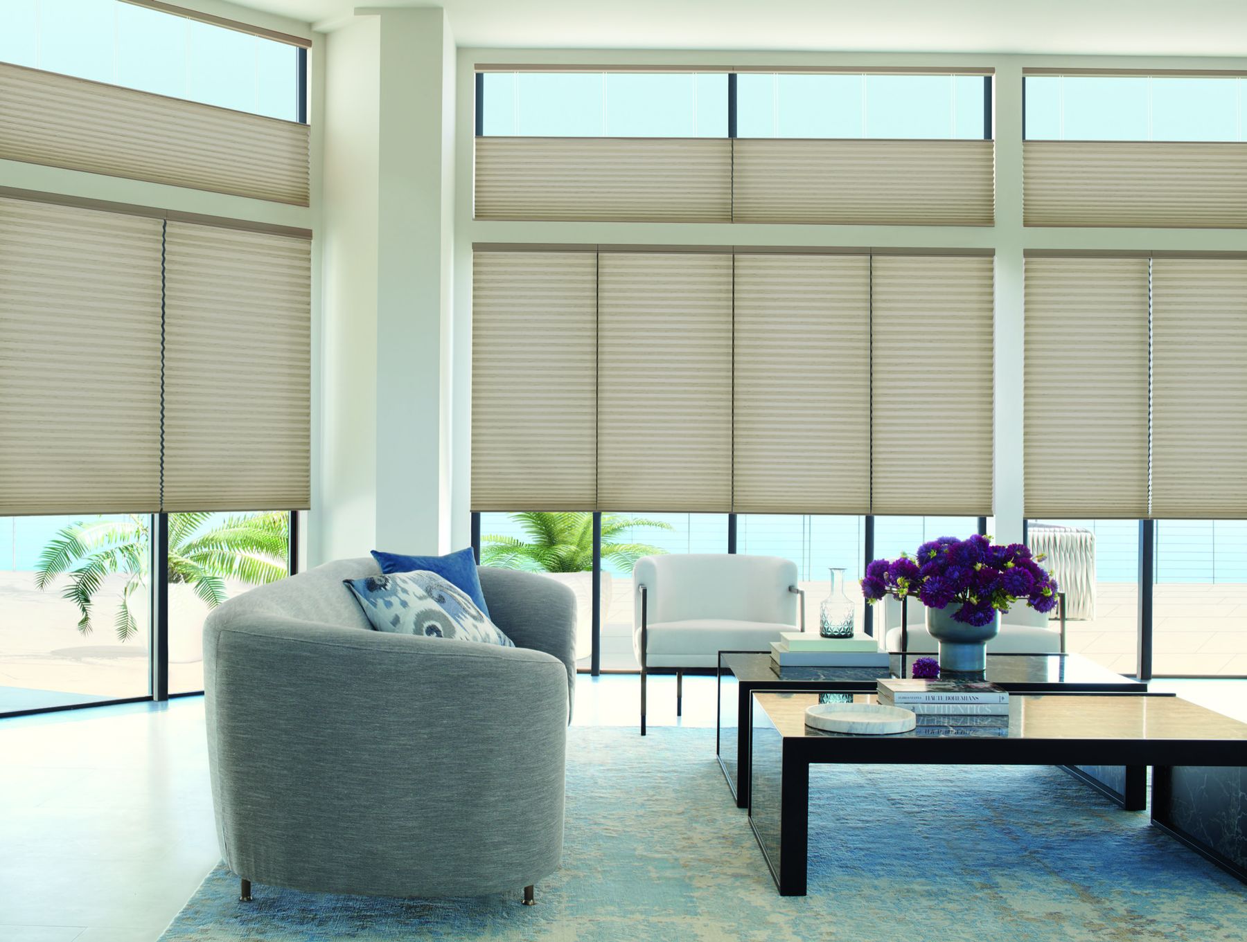 Top-down, bottom-up honeycomb shades on tall living room windows, lowered from the top so daylight comes in above while the lower half stays covered